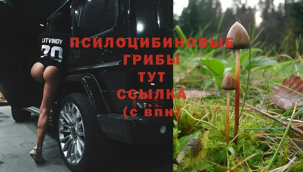 мескалин Бронницы