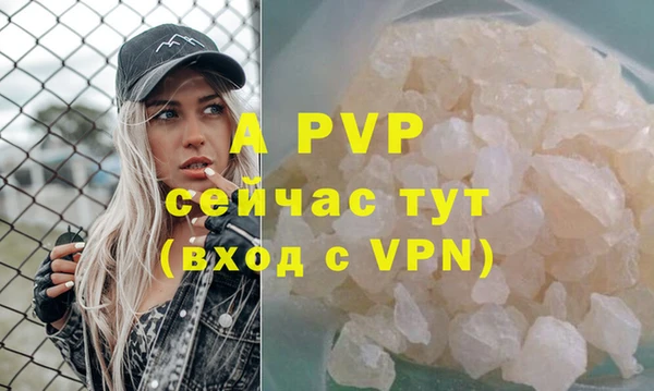 apvp Бородино