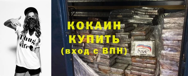apvp Бородино