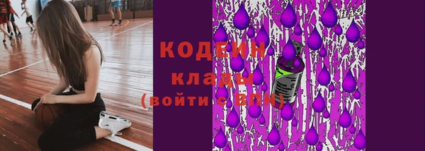 apvp Бородино